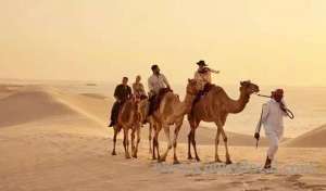 arabiers-qatar in qatar