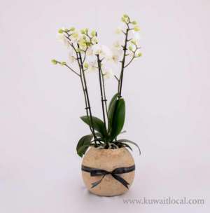 flowers-delivery-in-doha--ferrari-bridge-flowers-- in qatar