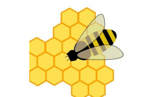 hive-boss-qatar