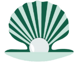 sea-shell-calibration_qatar