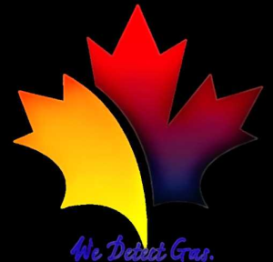 crowngas-detection-system-trading--contracting-wll-qatar