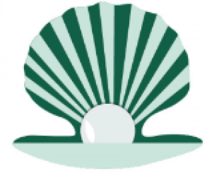 sea-shell-calibration-qatar
