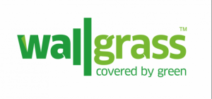 wallgrass-saudi