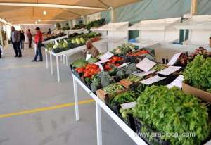 mme-will-open-the-winter-vegetable-markets-from-october-29qatar