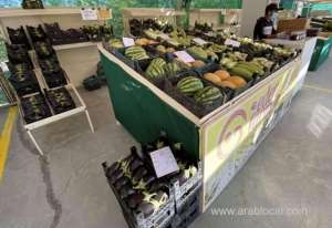 winter-markets--sold-over-70-tones-vegetables-on-day-oneqatar