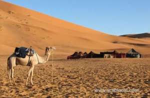 safety-tips-for-qatar-winter-camping-qatar
