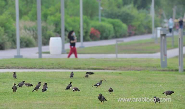 medical-care-professionals-asked-public-to-to-follow-preventive-measures_qatar