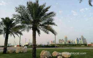 qatar-reported-3-covid19-deaths-and-870-new-cases-on-april-3qatar
