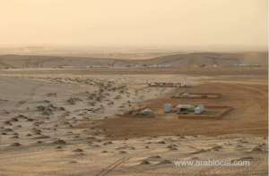 winter-camping-season-dates-for-2023-announced-by-ministryqatar