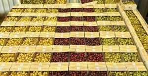 qatar-dates-week-lulu-hypermarket-celebrating-the-season-of-local-datesqatar