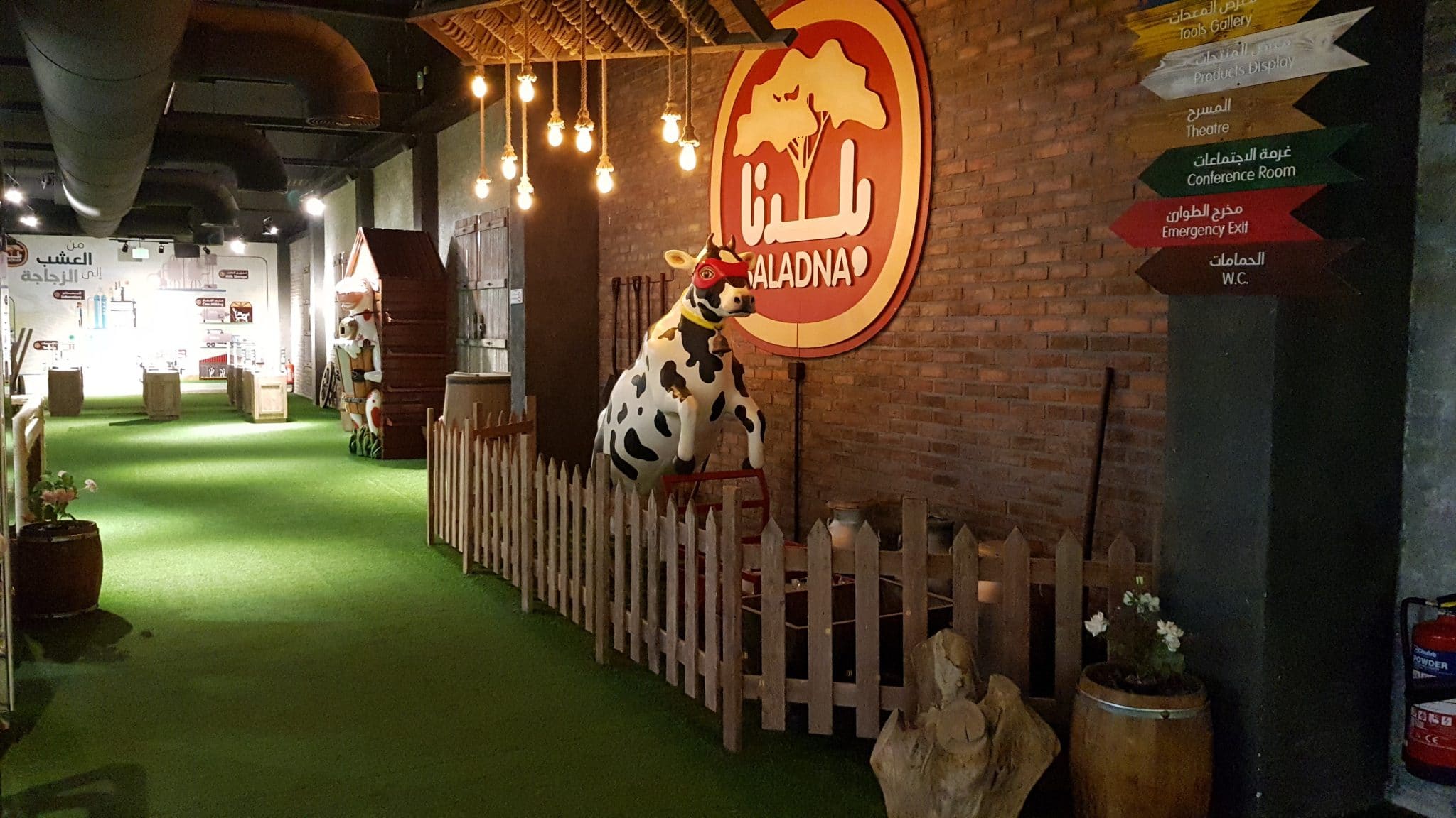 Baladna Park, Qatar