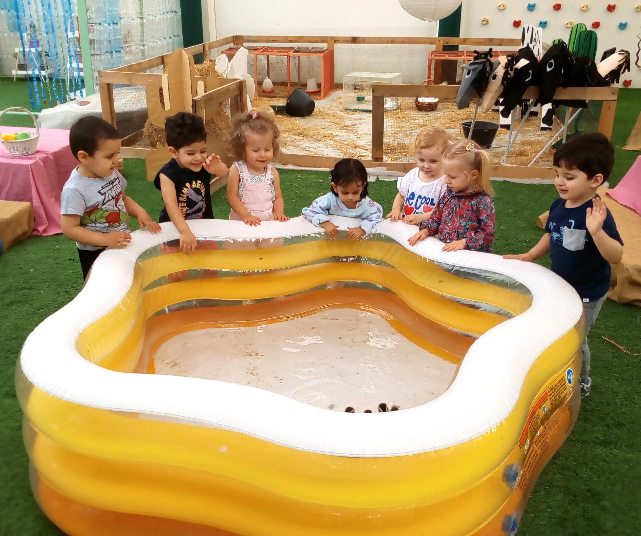 Koala Nursery, Qatar