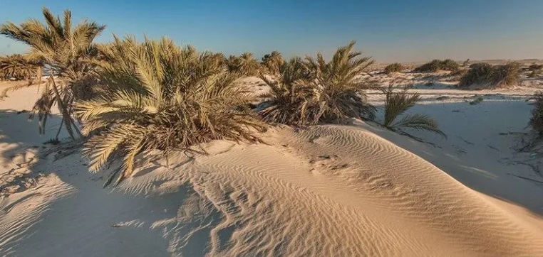 Umm Bab Beach