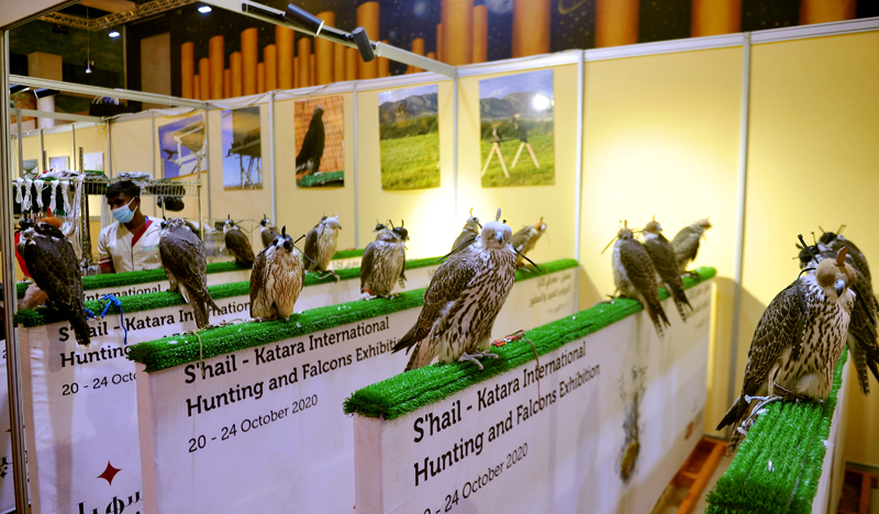 things to do in qatar this weekend